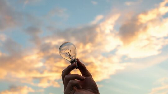 Person Holding Clear Light Bulb