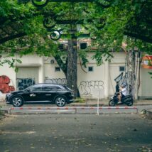 View of the Street in a City from the Road under a Pergola