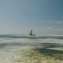 Lonely sailboat floating on foamy blue sea