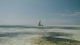 Lonely sailboat floating on foamy blue sea