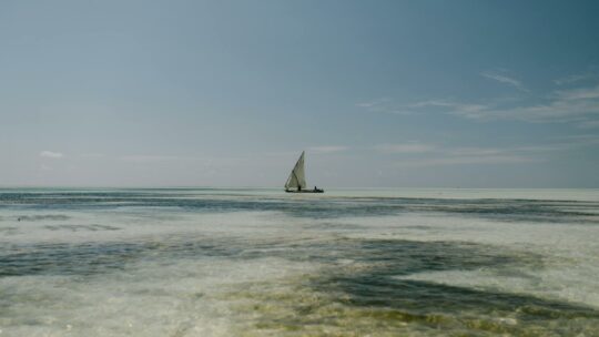 Lonely sailboat floating on foamy blue sea